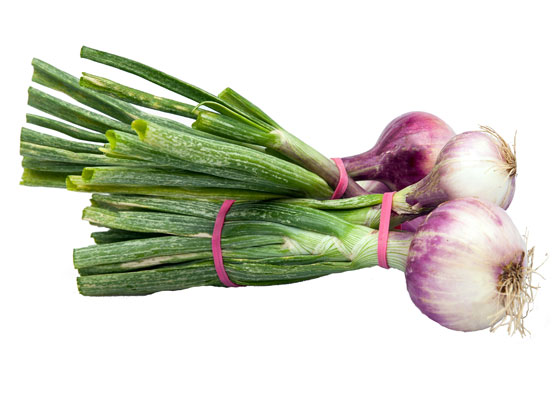 elastico_cebollas