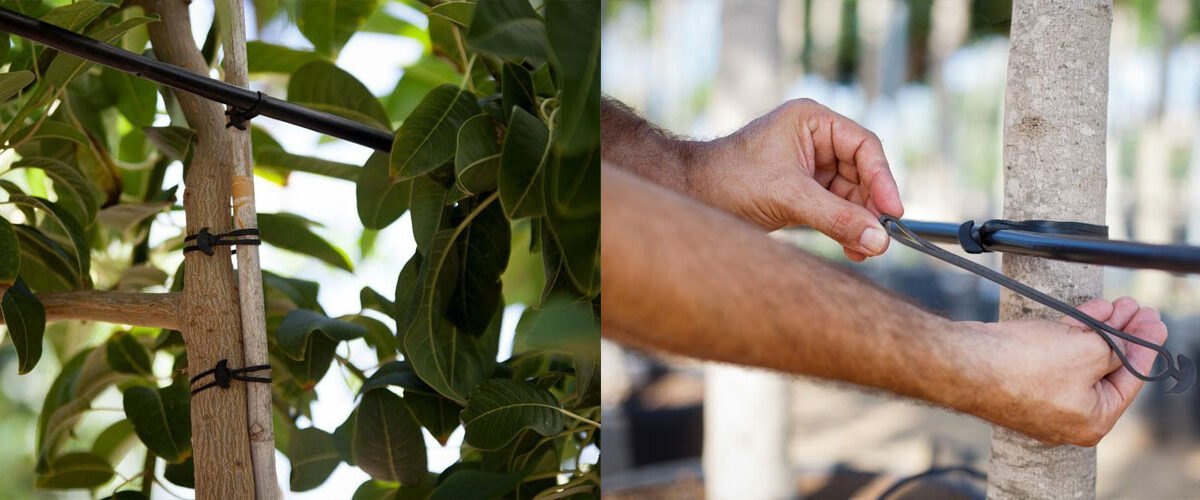 Goma ancla agricultura