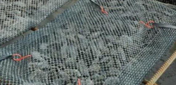 aquaculture