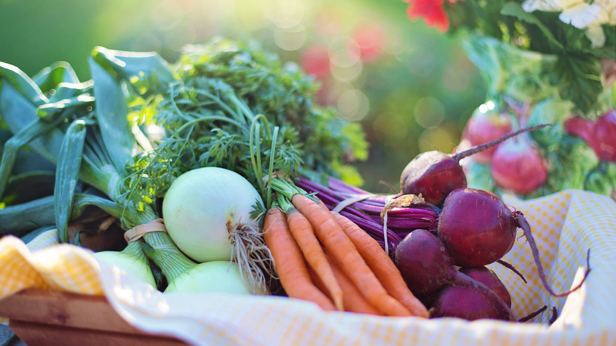 Imagen de Goma elástica apta para el contacto con alimentos