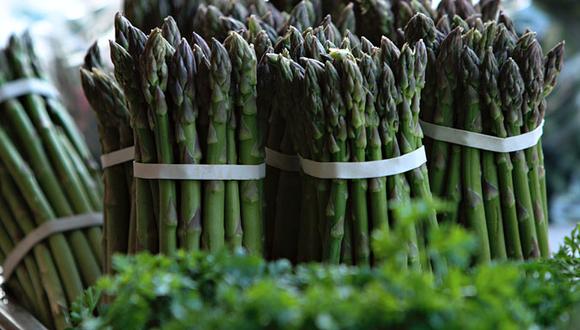 Imagen de Las gomas de caucho natural Bandex cumplen todas las normativas europeas de calidad y seguridad alimentaria