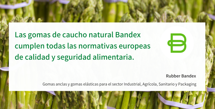 Bandex 220422