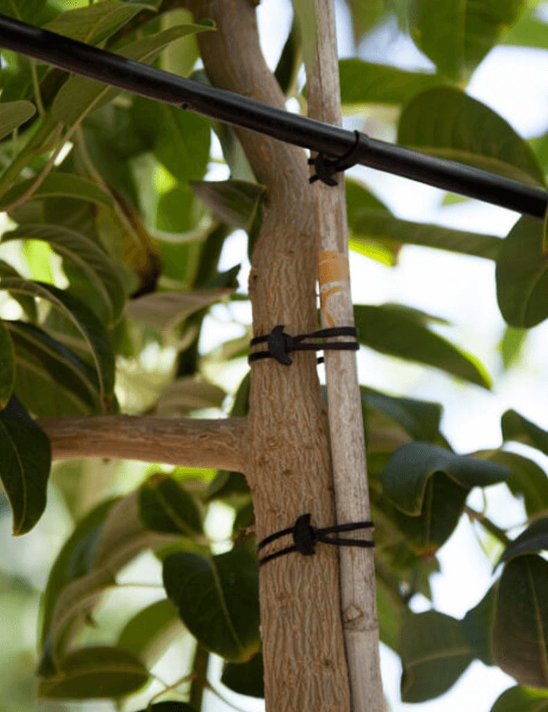 Imagen de Los múltiples usos de la goma ancla para el DIY: bricolaje y jardinería “do it yourself”