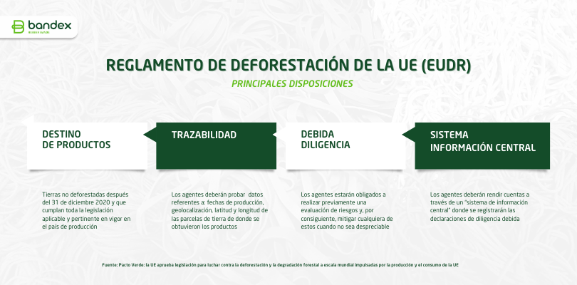 Reglamento EUDR | Caucho Natural