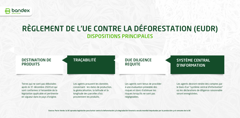 Principales dispositions incluses dans le règlement EUDR règlement EUDR