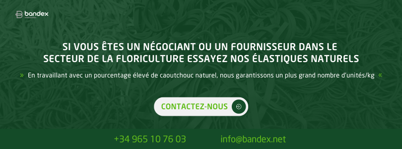 Imagen de Élastique en caoutchouc naturel: une option durable pour la floriculture
