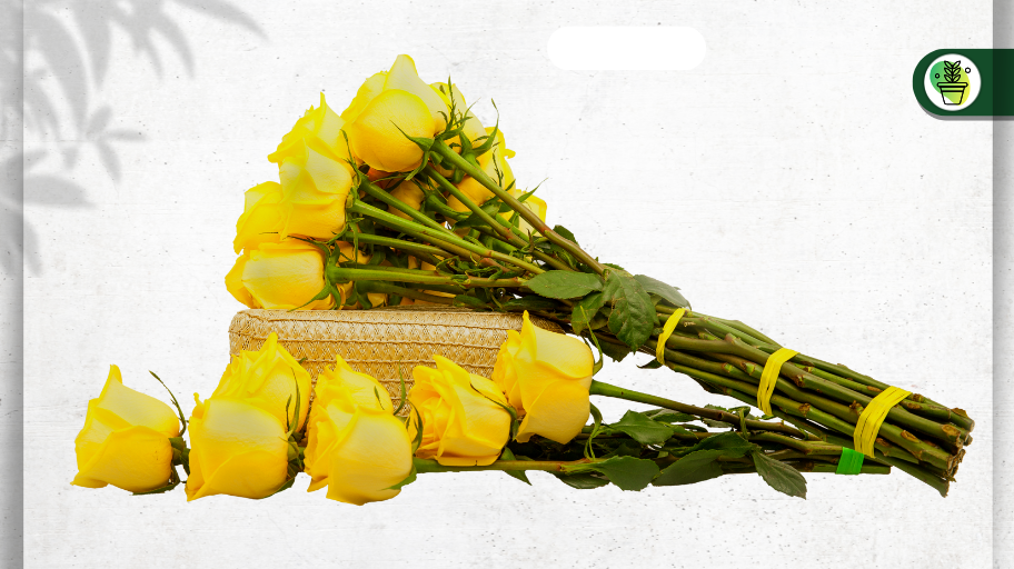 Goma elástica de caucho natural: opción sostenible para floricultura