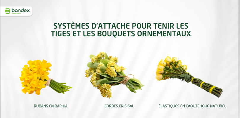 Imagen de Élastique en caoutchouc naturel: une option durable pour la floriculture