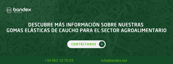 Imagen de Gomas elásticas de caucho natural para el sector agroalimentario ¿Cómo optimizar el tiempo de atado en tus cultivos?