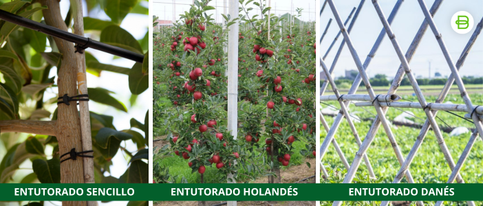 entutorado-arboles-frutales-goma-ancla-EPDM