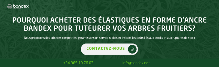 Colliers pour arbres fruitiers