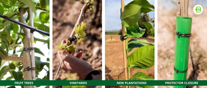 Anchor Bands for agriculture | BANDEX