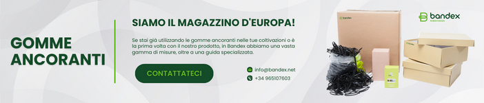 Le gomme ancoranti elastiche stanno trasformando il settore agricolo spagnolo | Bandex