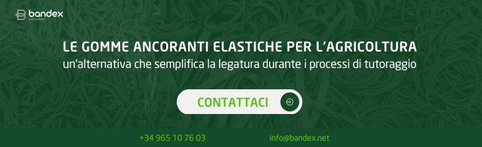 Le gomme ancoranti elastiche stanno trasformando il settore agricolo spagnolo | Bandex