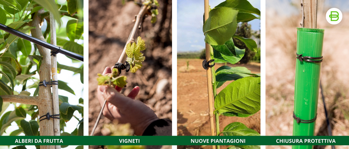 Le gomme ancoranti elastiche stanno trasformando il settore agricolo spagnolo | Bandex