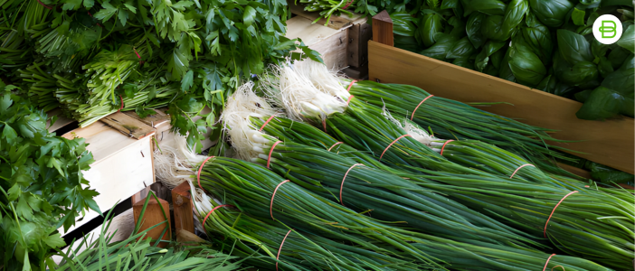 Goma estándar para el atado de hierbas aromáticas y medicinales