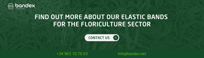 Imagen de Cut Flower and Elastic Bands: the Perfect Combination to Keep Flower Arrangements Fresh