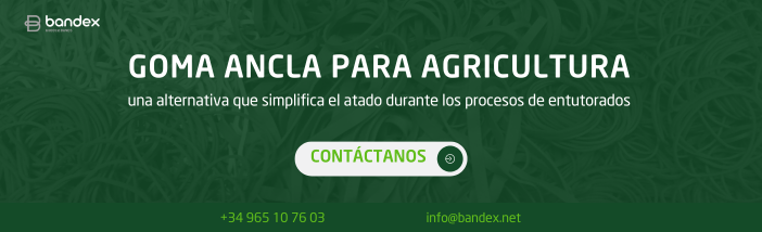 Imagen de Ventajas de las gomas ancla para entutorar