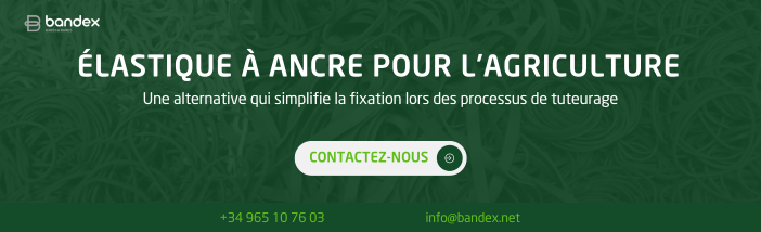 Élastiques ancre Bandex