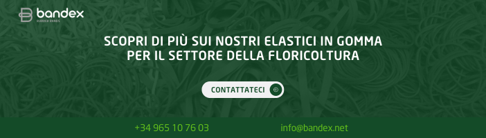 Imagen de Fiore reciso ed elastici in gomma naturale: la combinazione perfetta per mantenere freschi gli arrangiamenti floreali